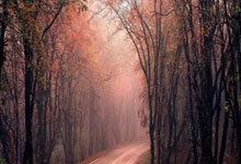 在线冲浪遇见广西圈聊天涯论坛，微天涯尽显桂柳情怀！