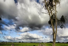 大家好！今天咱们来聊聊天涯论坛和天涯社区的区别，常听说有人傻傻分不清楚，我得好好说道说道。