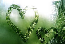 天涯热土上的情感天地，竟还有视频？这倒令我兴致勃勃。