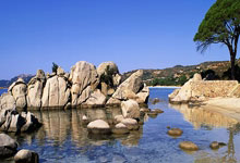 天涯热土上的情感天地，竟还有视频？这倒令我兴致勃勃。